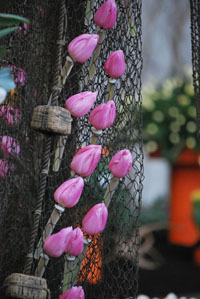 Holland Flowers Festival
