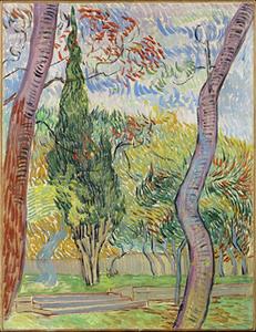 Van Gogh: Park in het St. Paulus Ziekenhuis